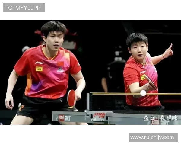 北京羽毛球队技术争议引发热议球员表现与战术选择成焦点讨论 北京羽毛球队技术争议引发热议球员表现与战术选择成焦点讨论